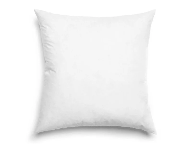 Pillow Insert - 22x22