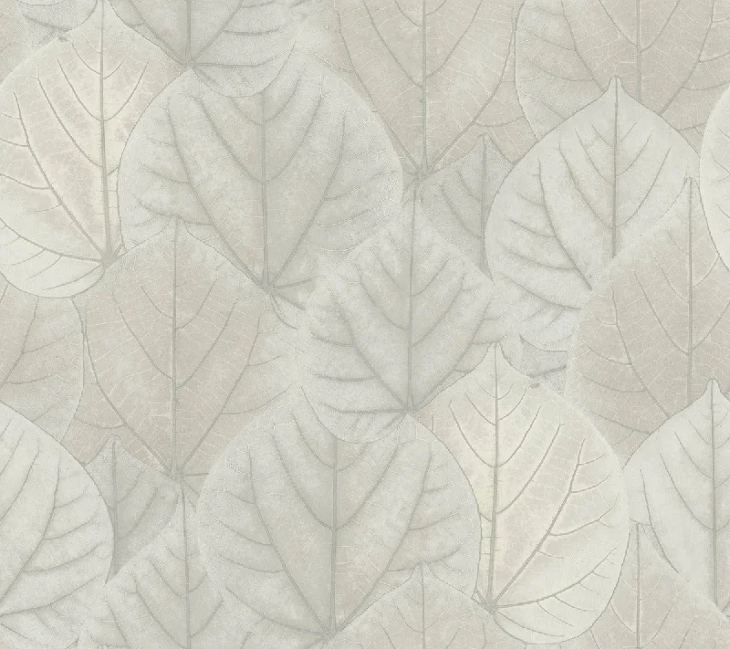 Leaf Concerto Wallpaper in Grey from the Modern Nature 2nd Edition